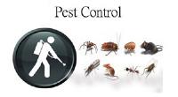 Pest Control Sunshine Coast image 1